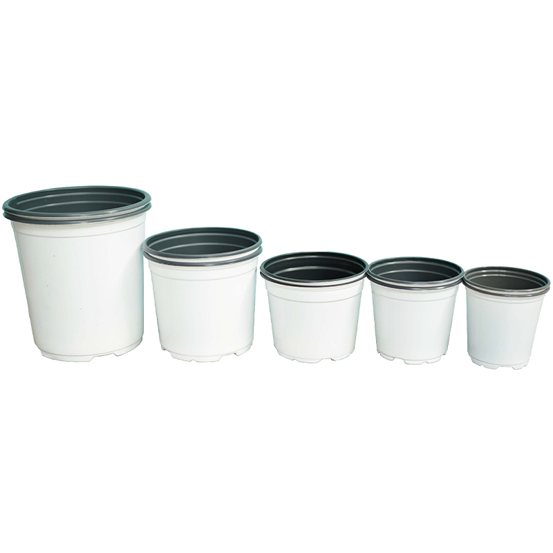 Oboya Horticulture (Qingdao) Co., Ltd. – Flower pot 2