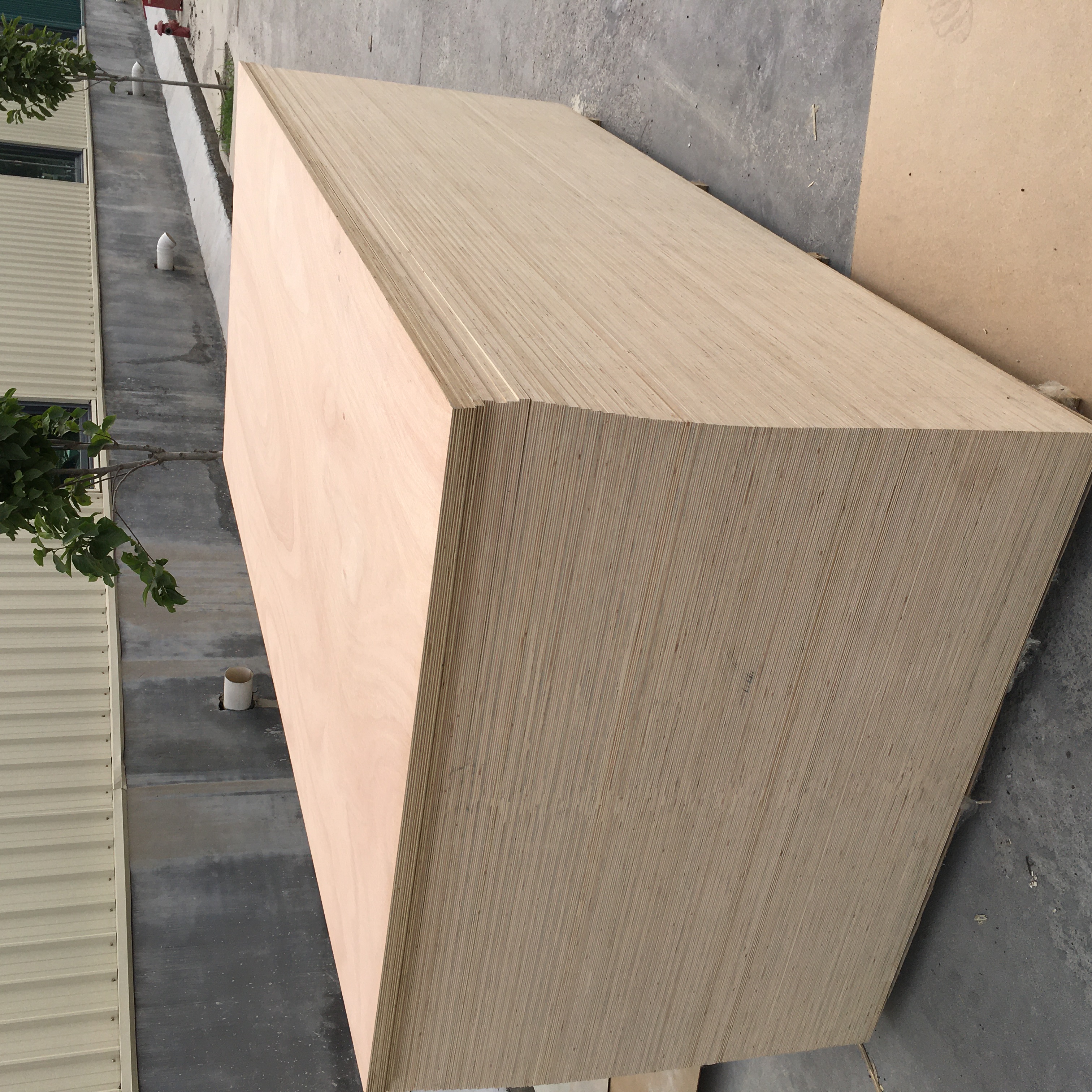 Okoume plywood