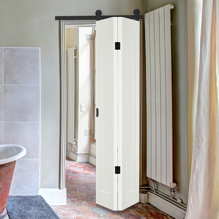 Pivot door