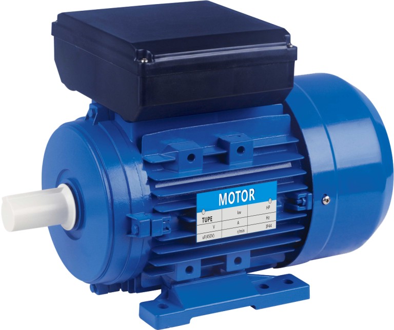 single-phase electric motor