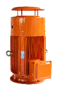 Xiangtan Electric Manufacturing Co., Ltd. – Other Motor 1