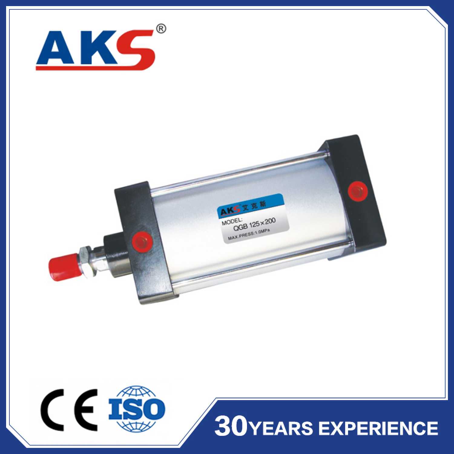 AKS Pneumatic Components Co.,Ltd. – molde de inyección 1