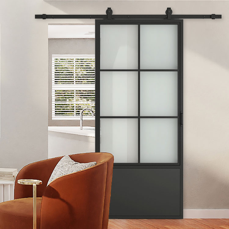 Glass barn door