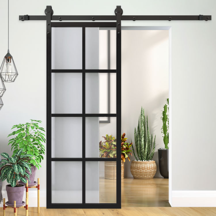 Glass barn door