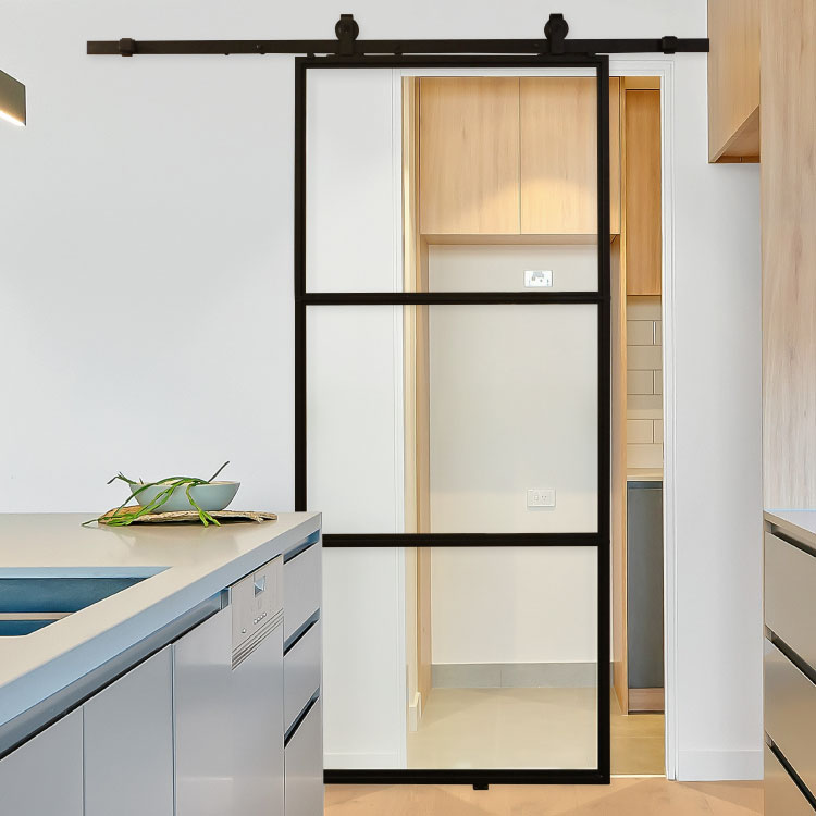 Glass barn door