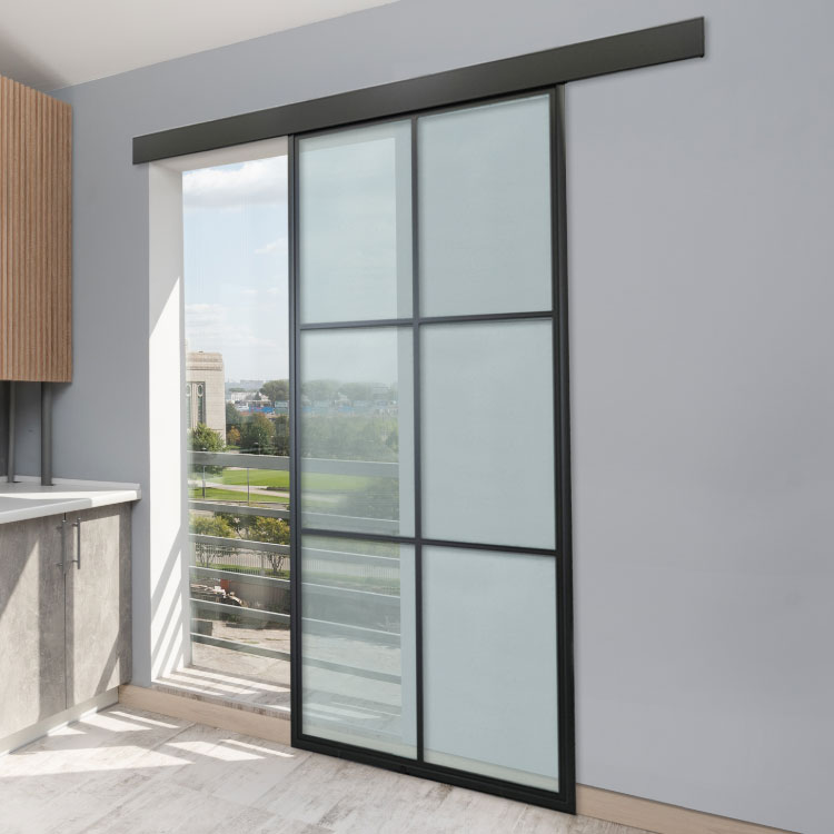 Glass barn door