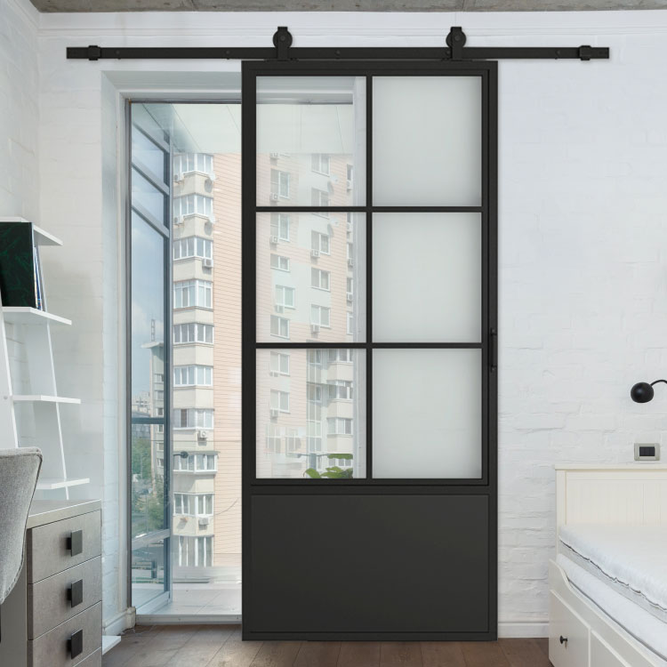 Glass barn door