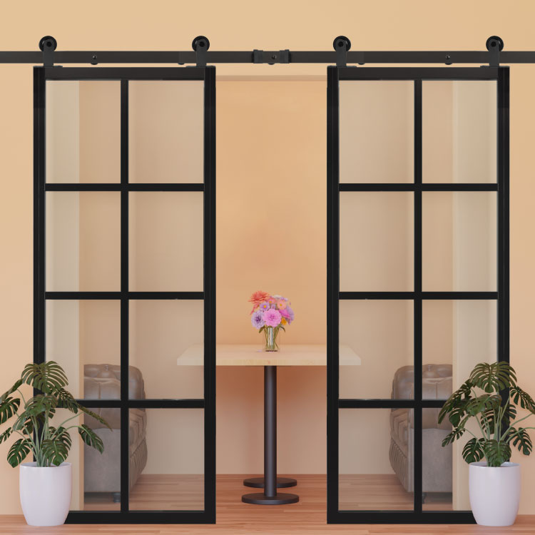 Glass barn door