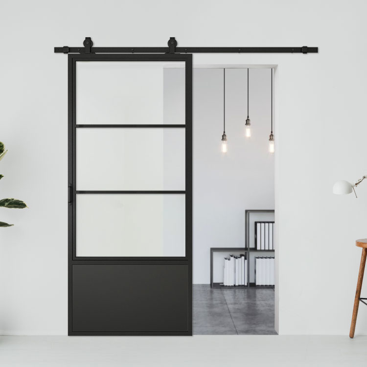 Glass barn door