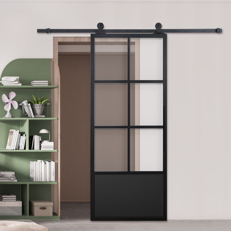 Glass barn door