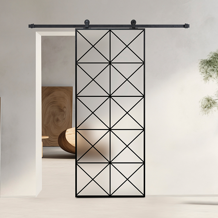 Glass barn door