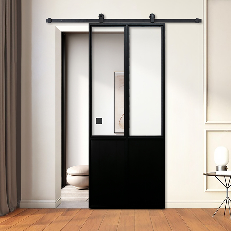 Glass barn door