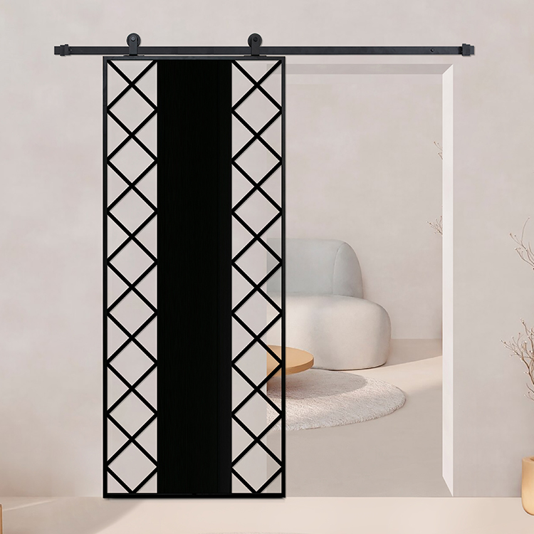 Glass barn door