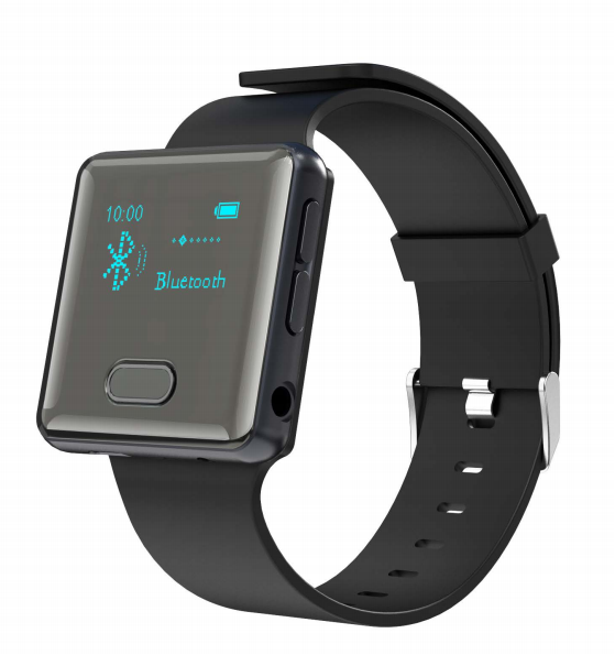 MP3 Watch