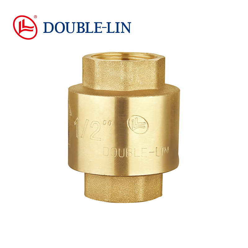 check valve