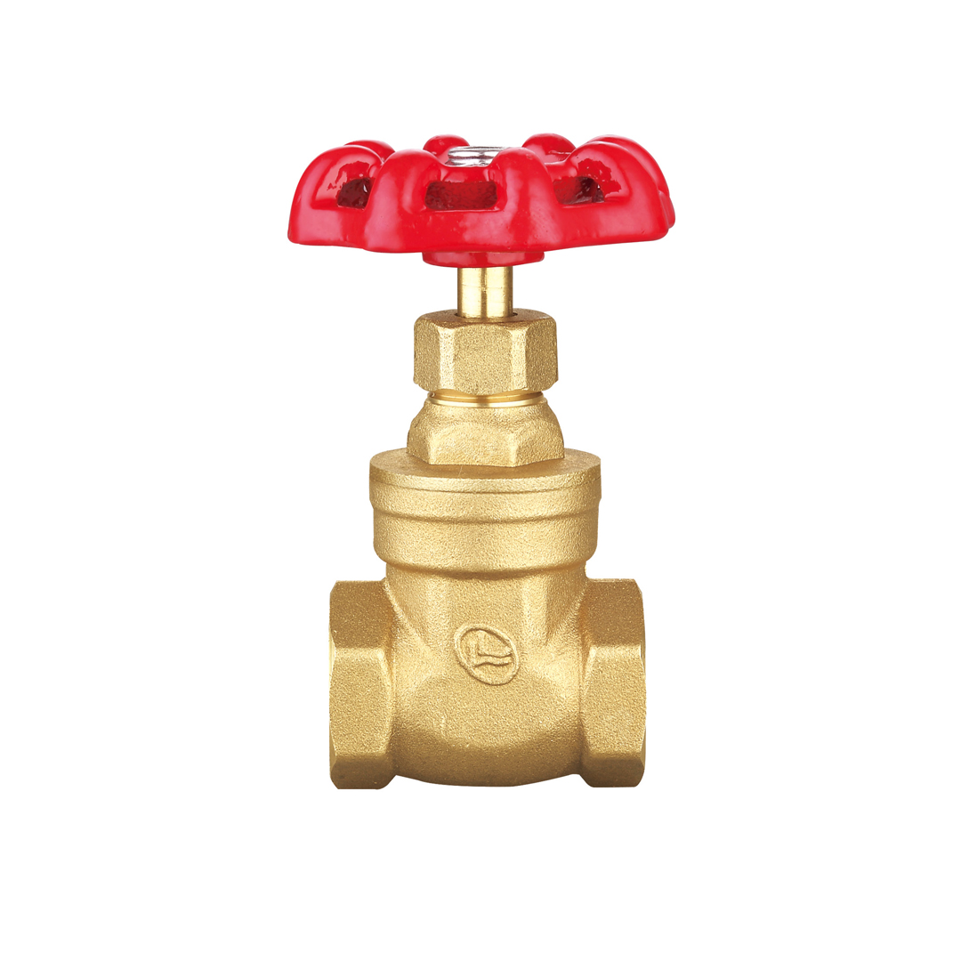 gate valve