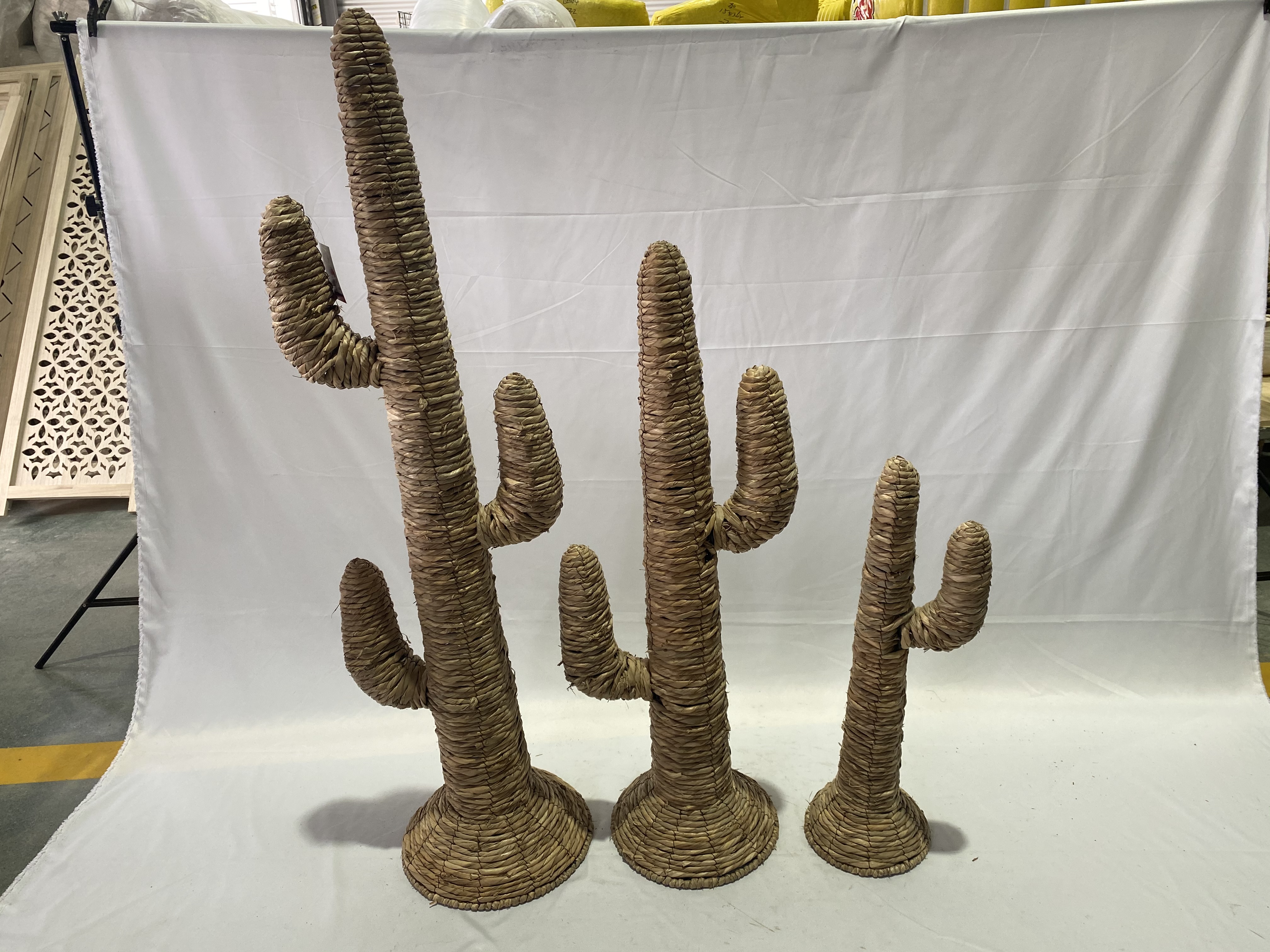 Rush Cactus