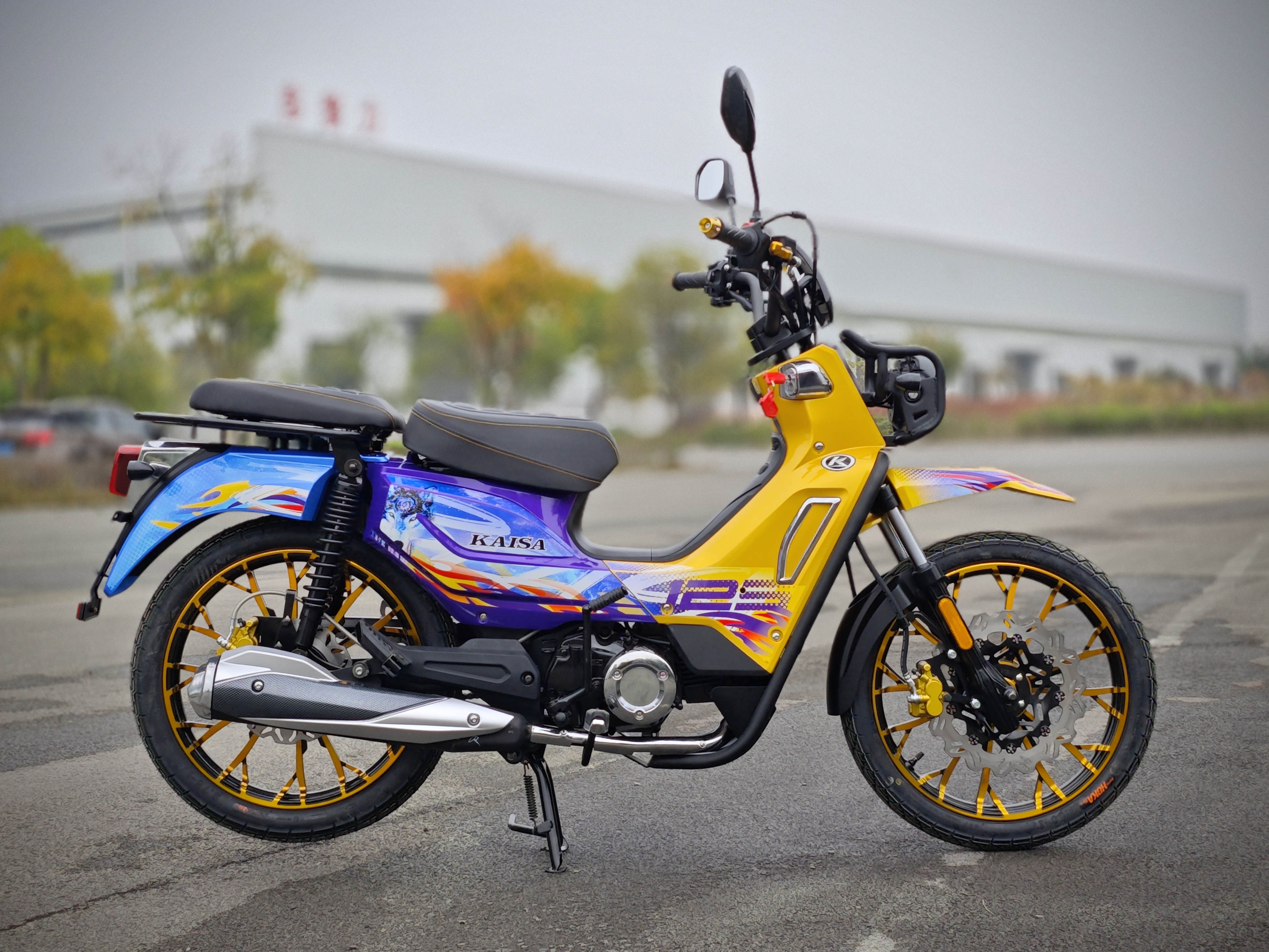 Chongqing Dalongyufeng Motorcycle Manufacturing Co., Ltd. – moto triciclo 2