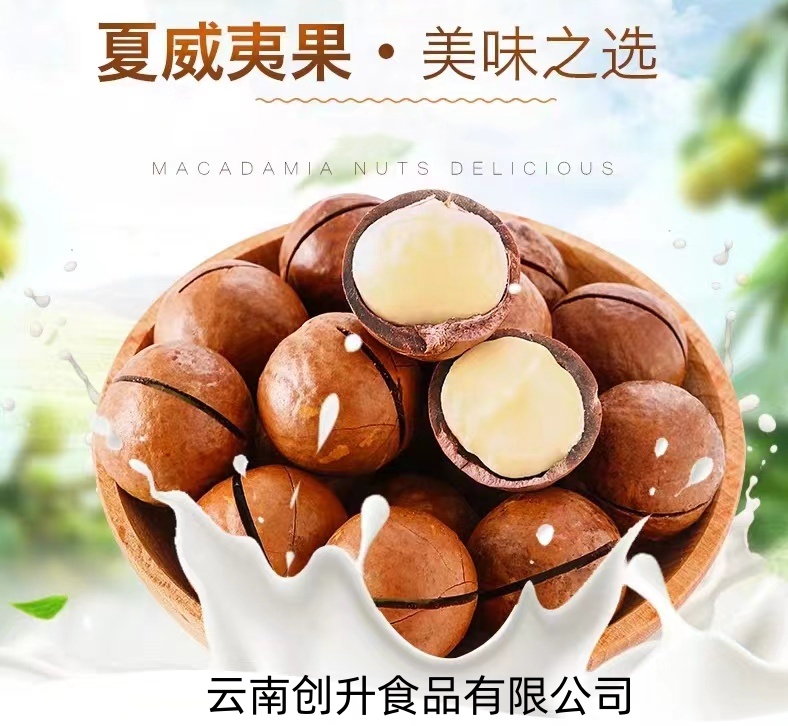 Yunnan Chuangsheng Food Co.LTD – bicicleta de montaña 3