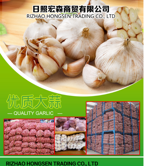 High quality garlic
