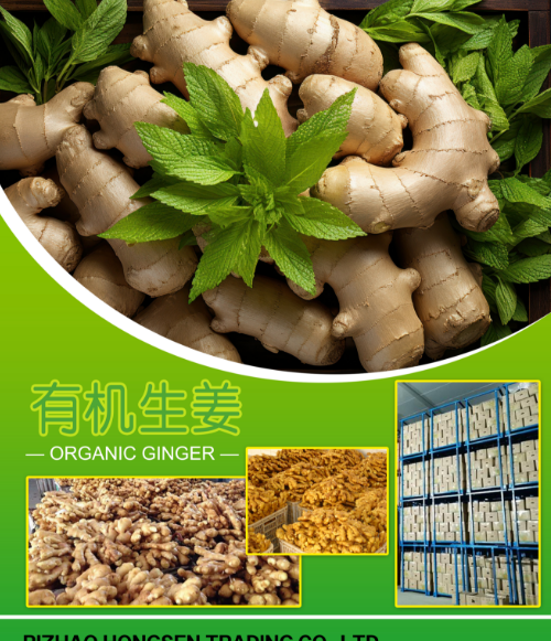 Fresh ginger