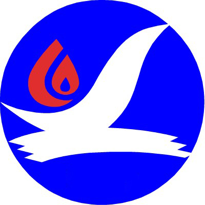 Guizhou Yongxing Technology Co., Ltd.