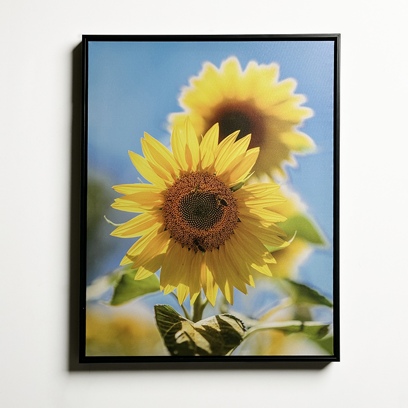 PS floating frame popular designs High end wall decoration Wall art painting