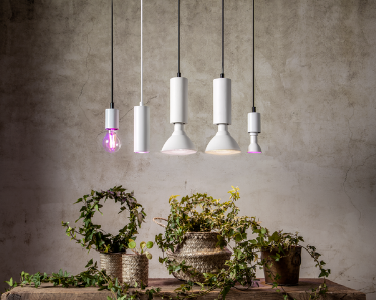 LED Grow Light