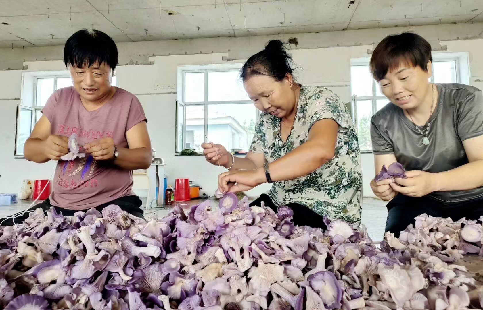 Molidawa Daur Autonomous Banner Xinhui Agricultural Development Co., Ltd. – Other edible fungi 1