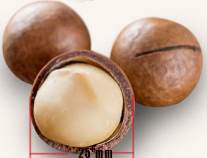 QIUBEI YUNNONG AGRO PRODUCTS CO.,LTD – raqueta de tenis 2