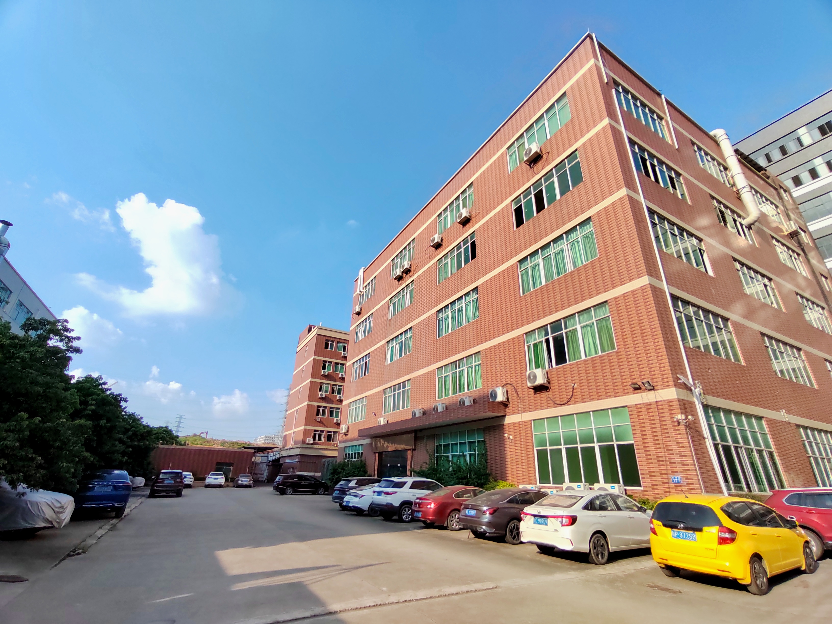Guangzhou Dongli Sports Technology Co., Ltd. – champú de cabello 1