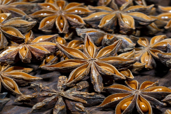 Star Anise