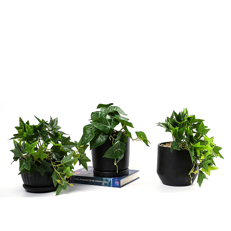 Xiamen Oujia Import And Export Company – energy saving lamps 3
