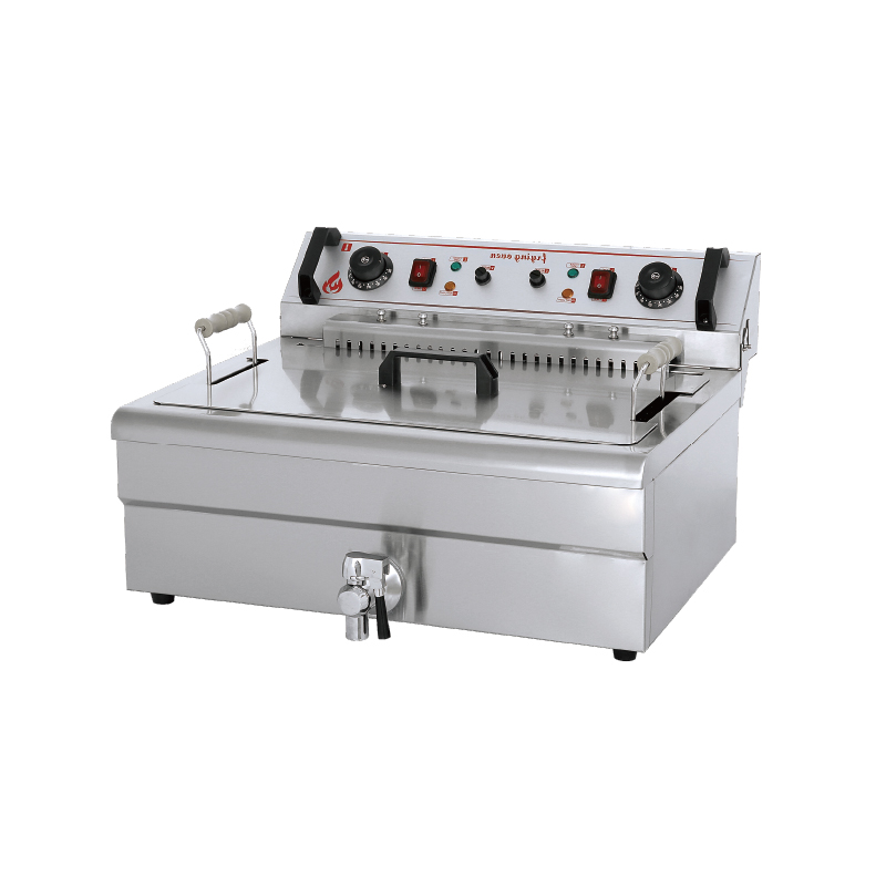 Electric Fryer