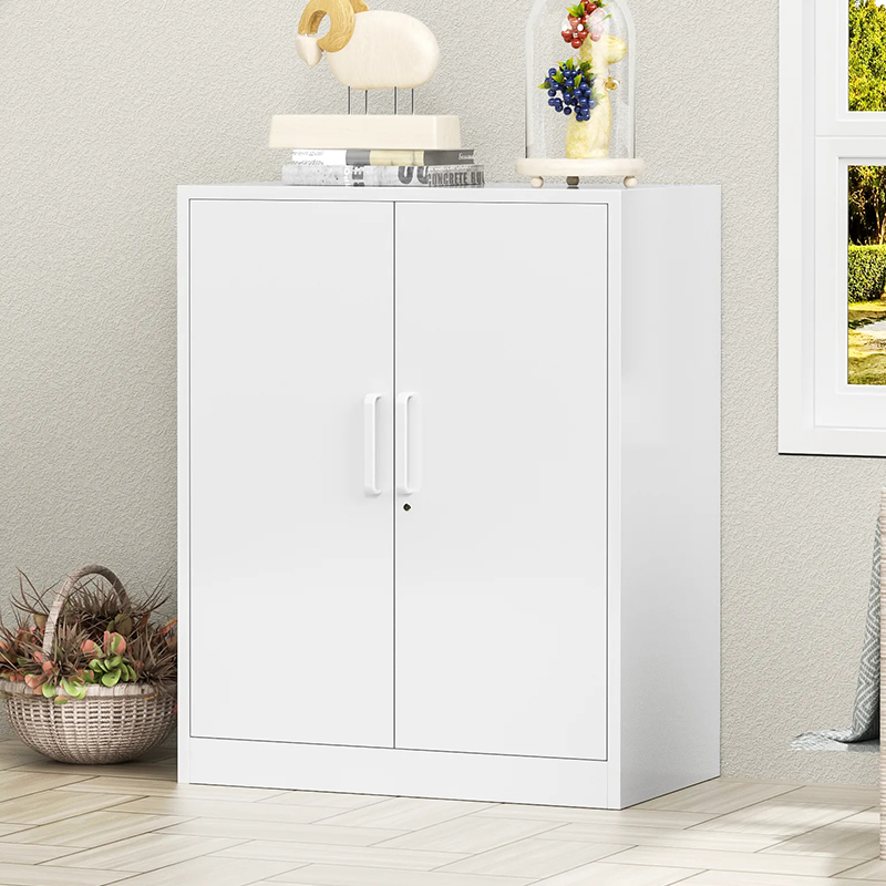 Office Furniture 2 Doors Storage Filing Cabinet With 2 Shelves