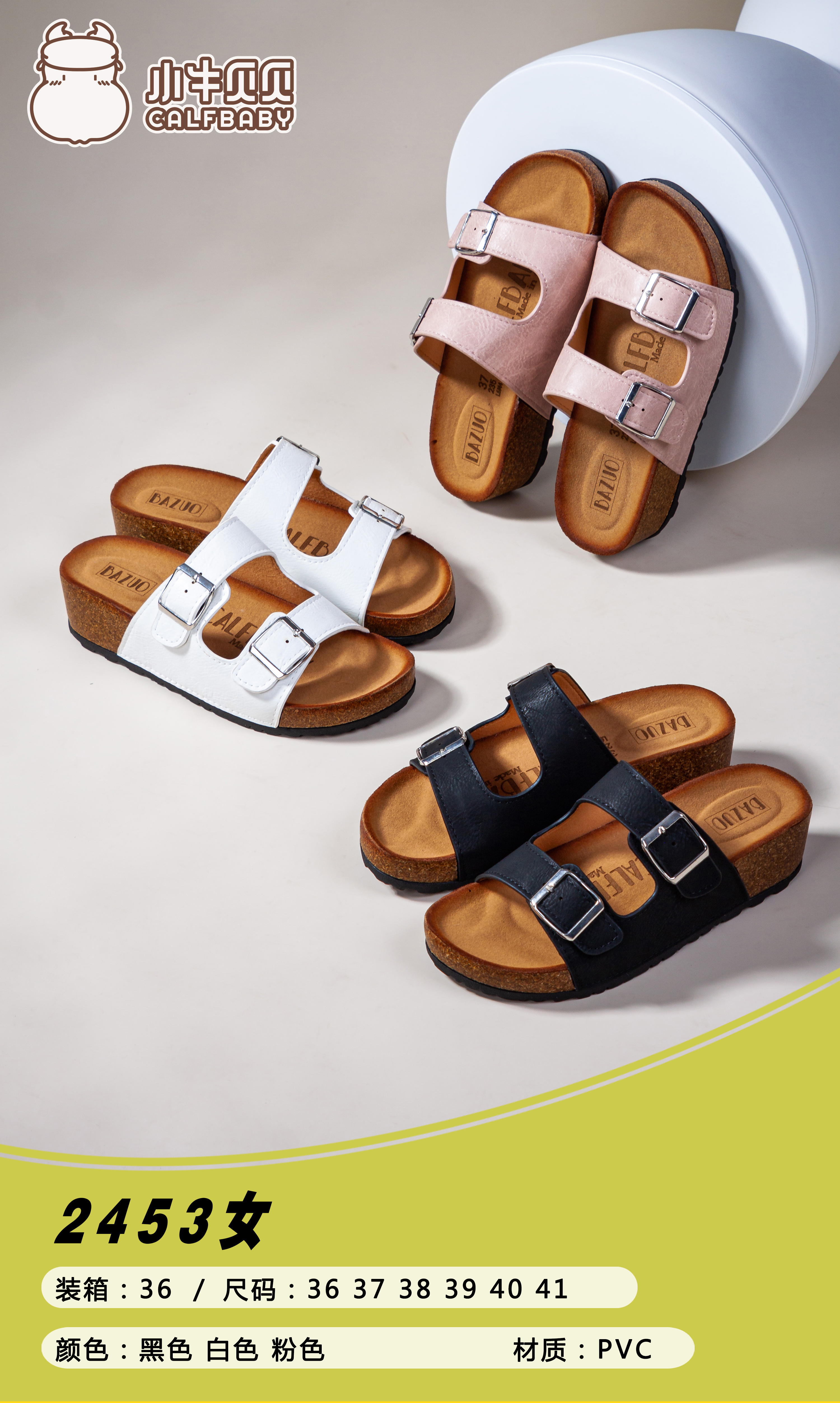 Shoes for women 2453