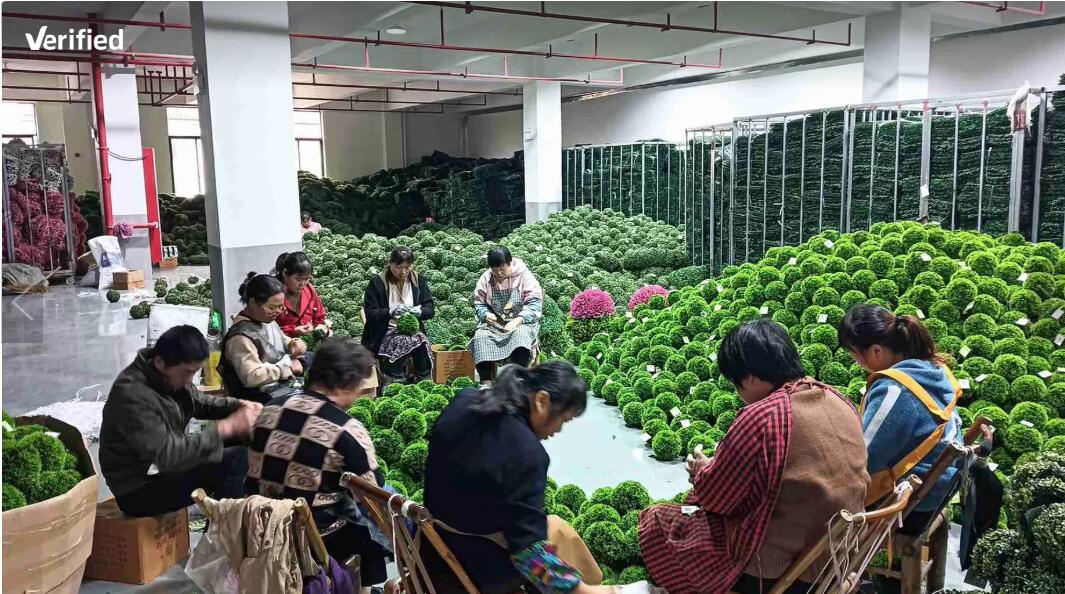 Zhejiang Hanxi Home Products Co., Ltd. – Photos produits 3