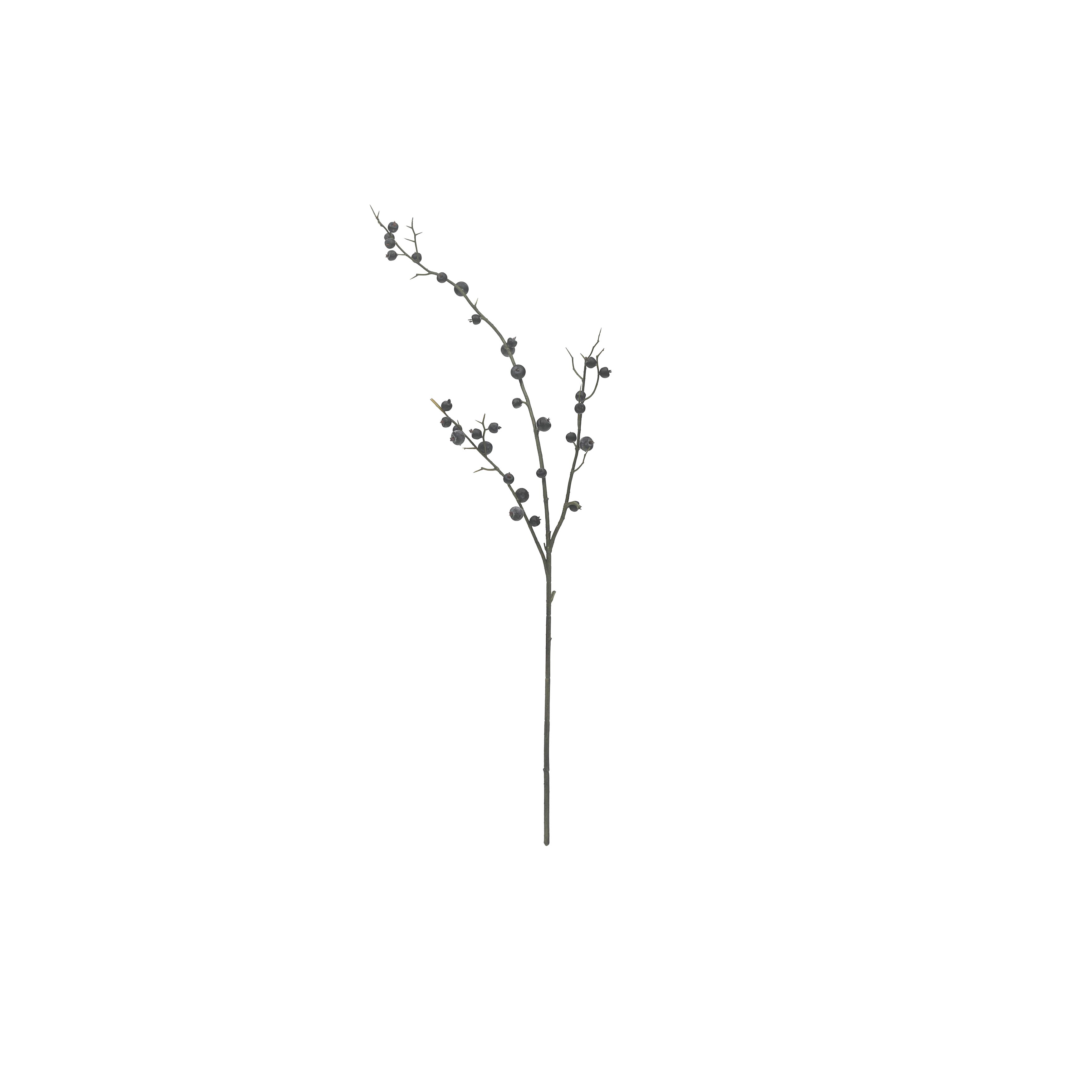 Bailisi Flower Factory (Huizhou) Co., Ltd.