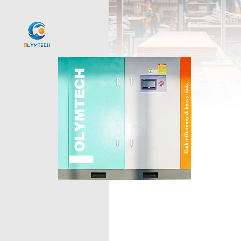 Permanent magnet frequency conversion oil-free screw vacuum pumps