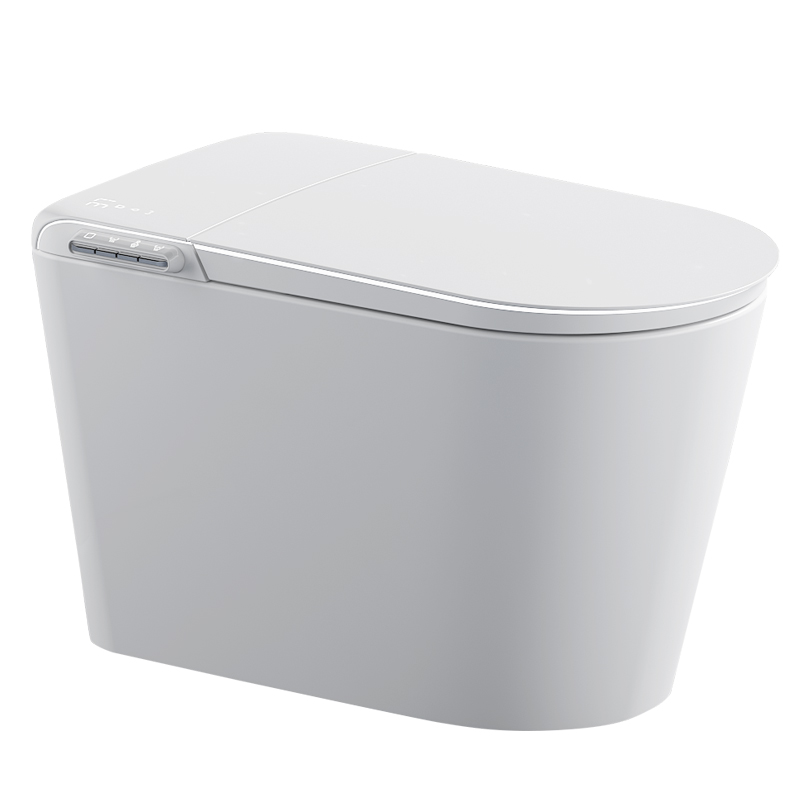 HSJAA Smart Toilet S33