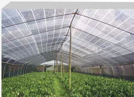 sun shade net