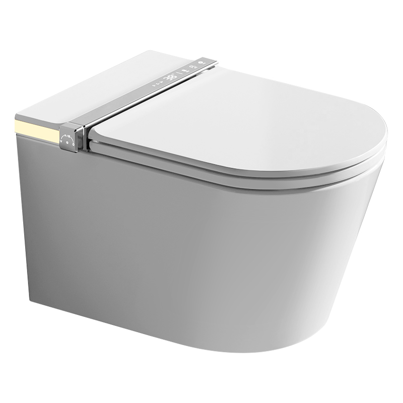 HSJAA Smart Toilet S61