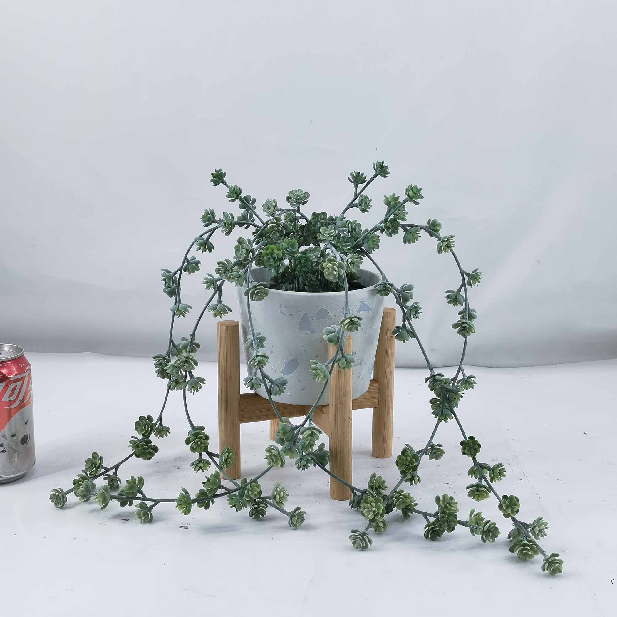 Succulent flower rattan pot