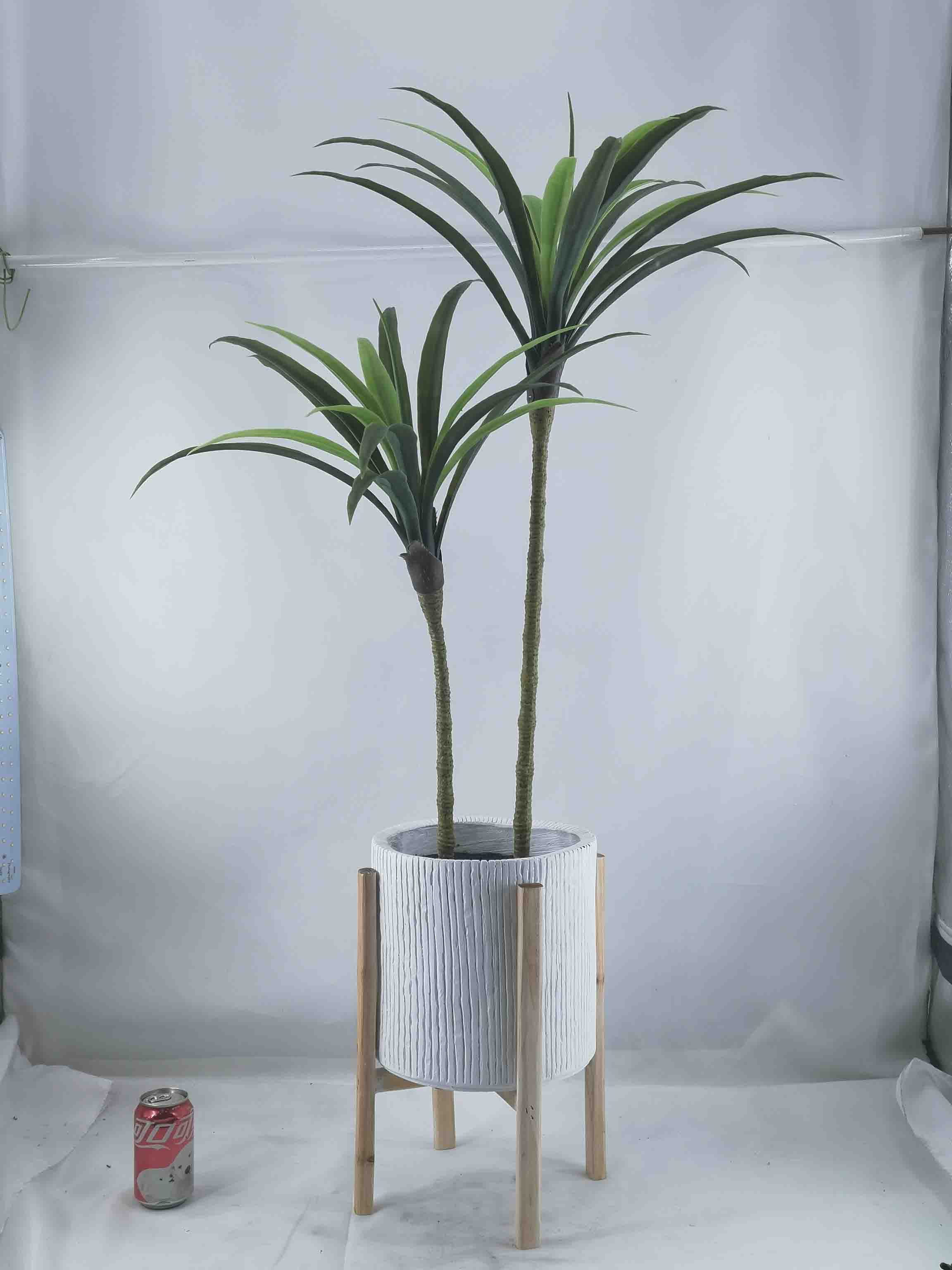 Simulated green plant Brazil wood potted decoration
