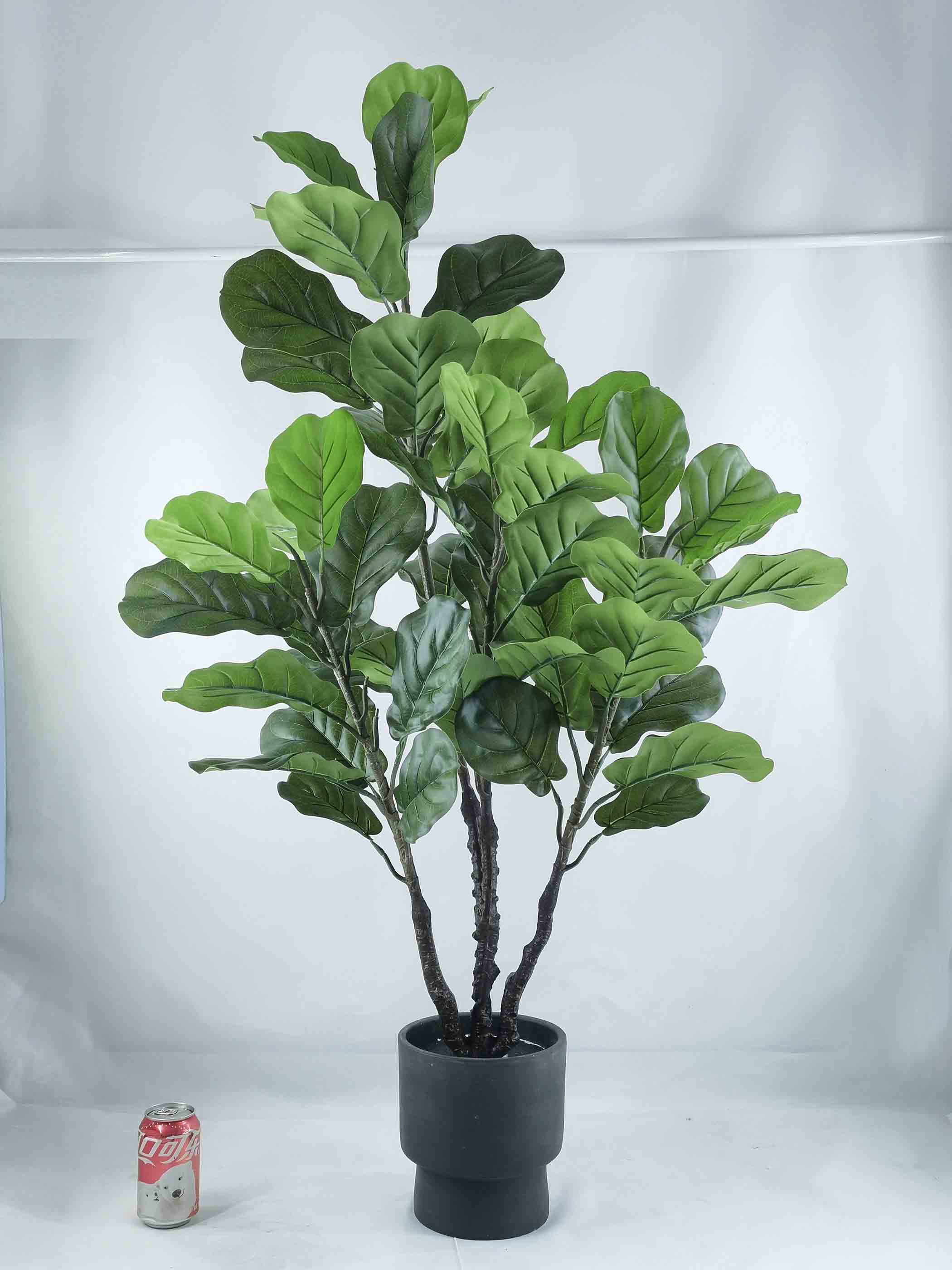 125cm H Fiddle leaf tree in cement pot