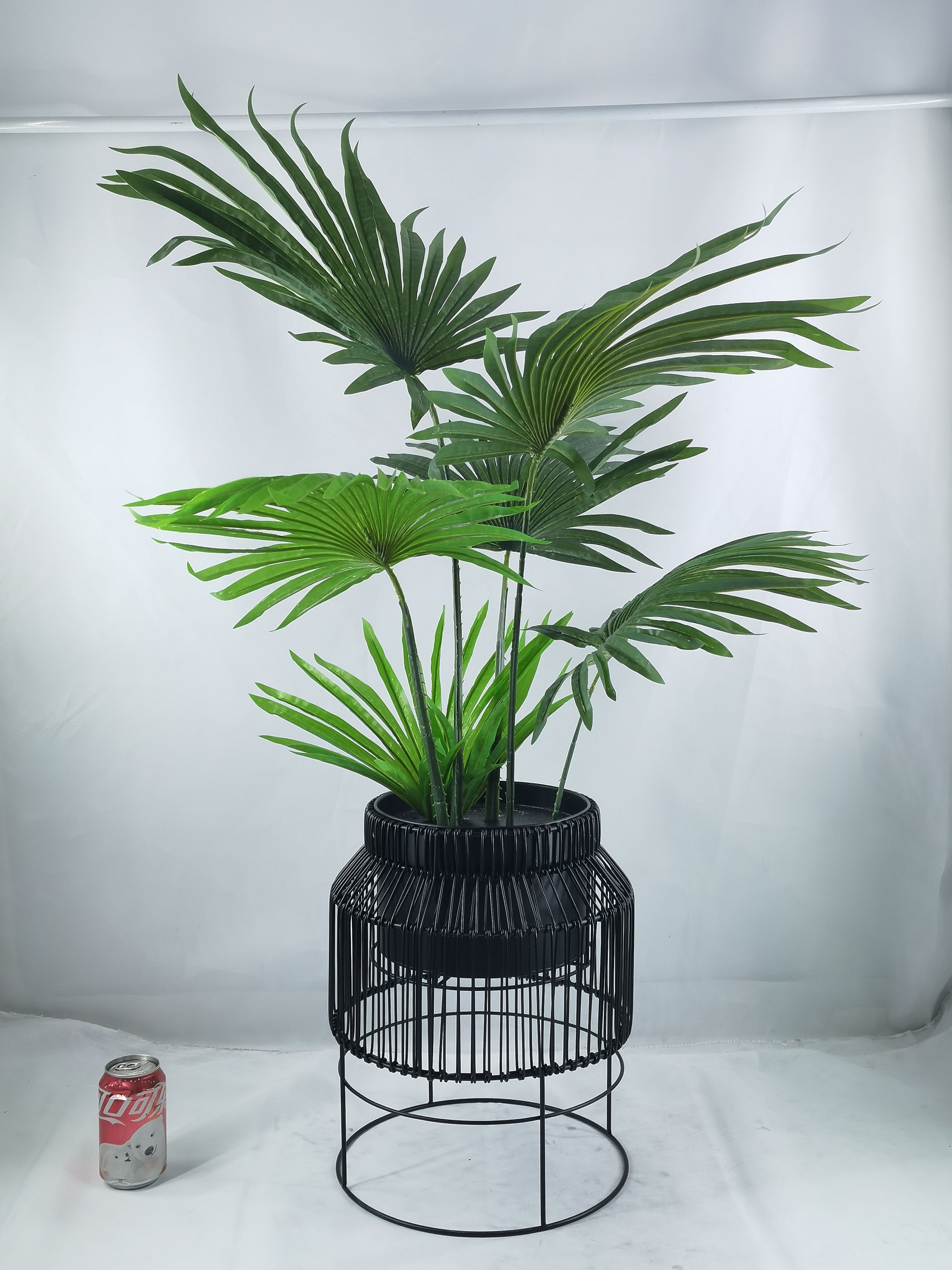 105cm H Plam in poly rattan pots