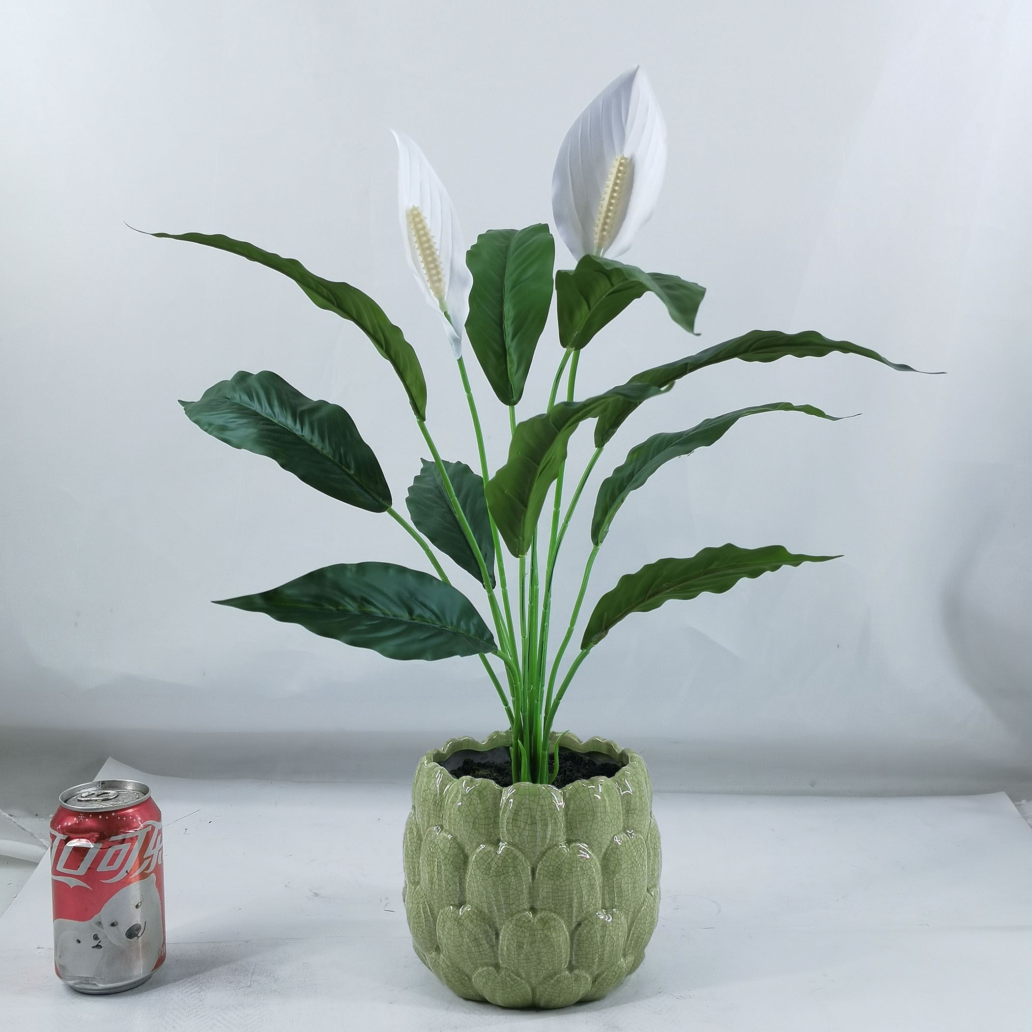 53cm H Peace lily in ceramic pot