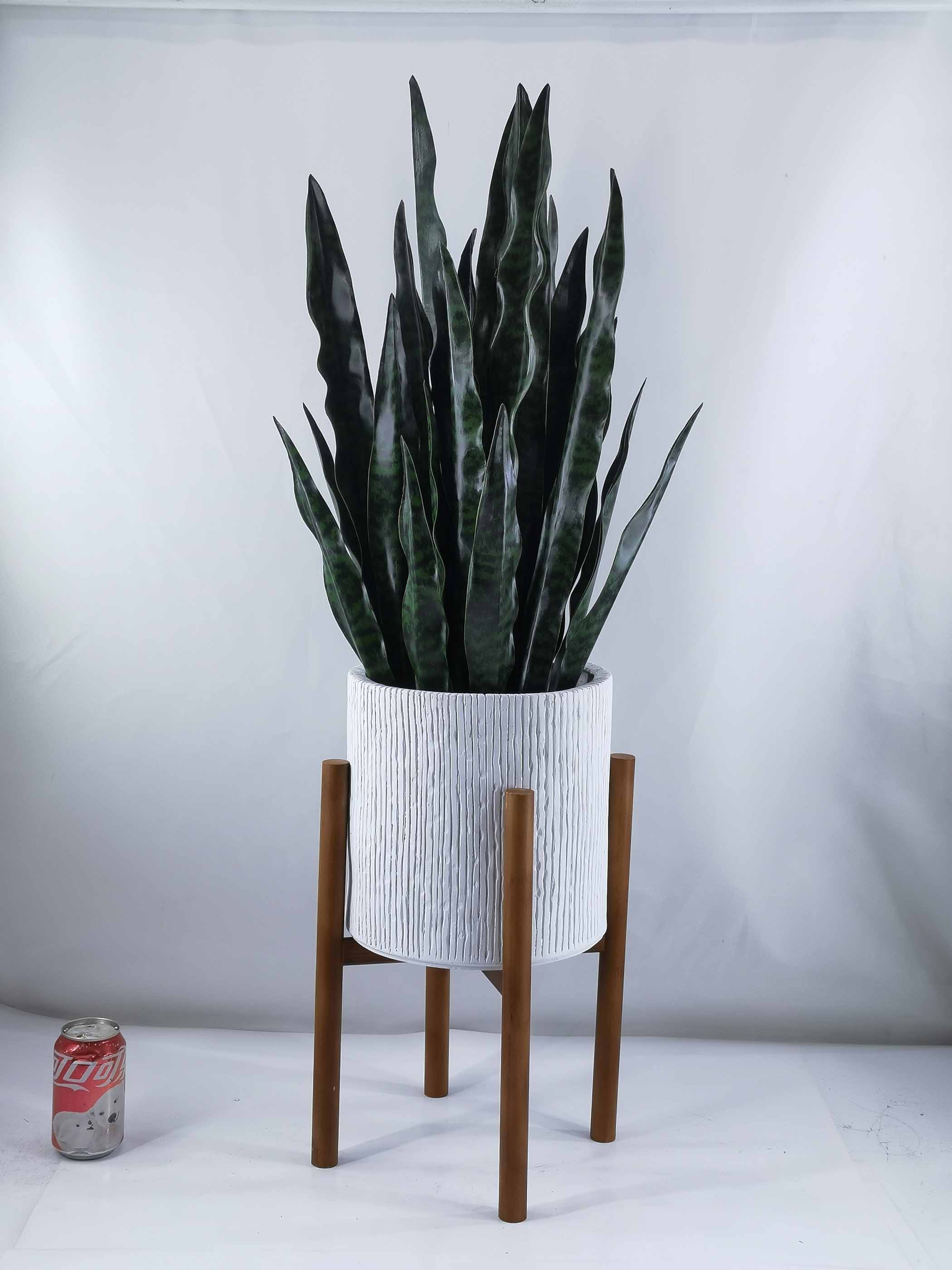 105cm H Sansevieria in Magnesia pot with bamboo stand