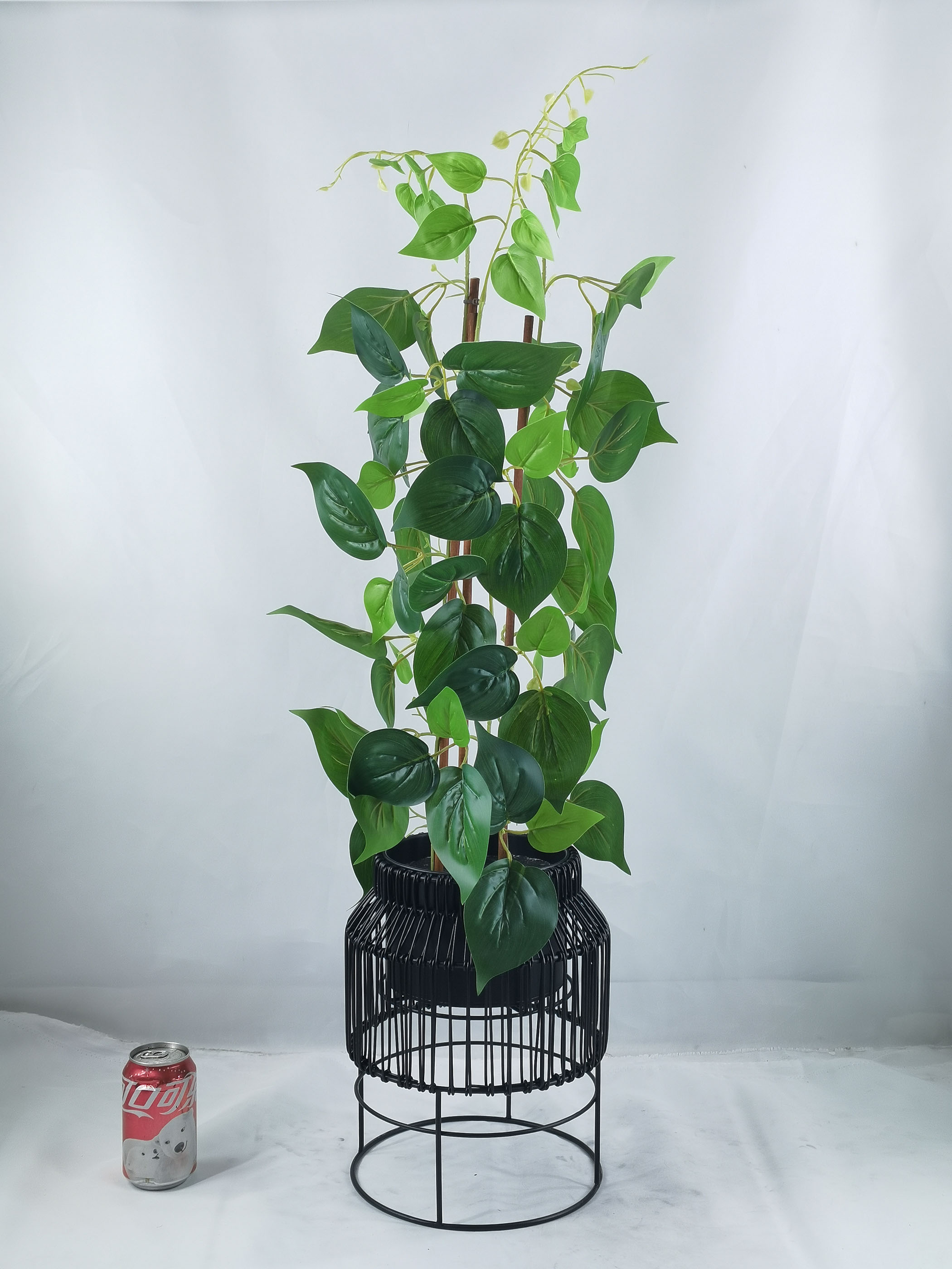 93cm H Philodendron in poly rattan pots