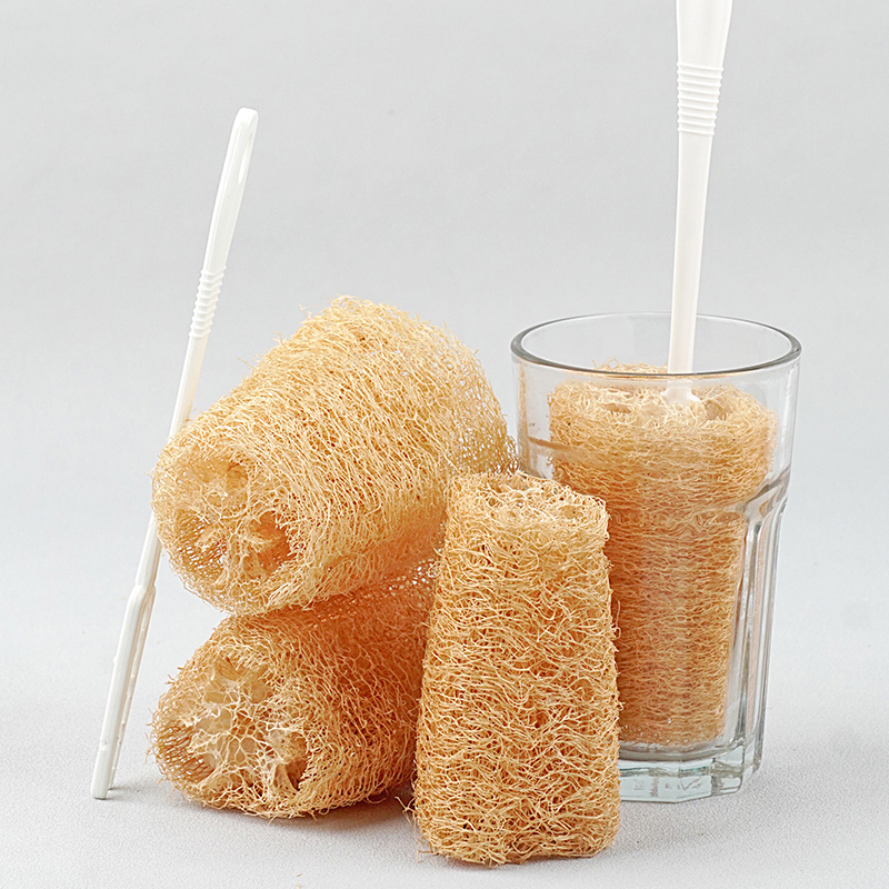 Loofah cup brush